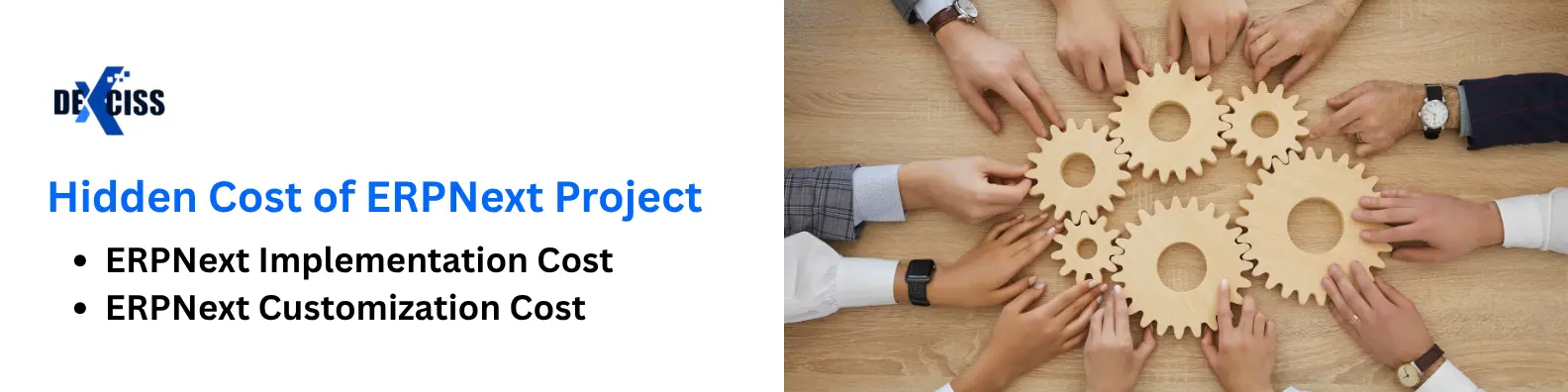 ERPNext Implementation Cost | ERPNext Customization Cost